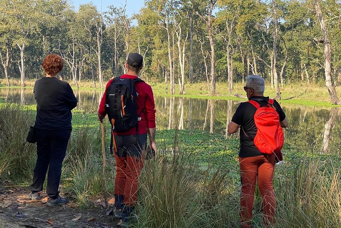 1 Night 2 Days Chitwan Jungle Safari Tour from Kathmandu - Day 2 Morning Jeep Safari: Your Best Shot at Rhino, Tiger, and Friends