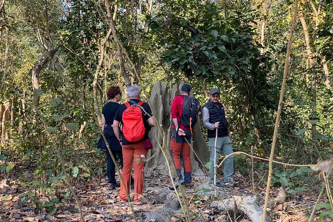 1 Night 2 Days Chitwan Jungle Safari Tour from Kathmandu - The Biggest Trade-Offs: Timing, Road Conditions, and Tiger Dreams