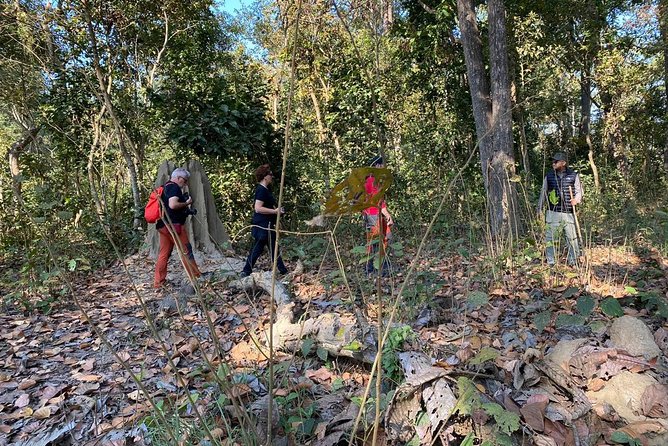 1 Night 2 Days Chitwan Jungle Safari Tour from Kathmandu - Who This Tour Fits Best (And Who Should Look Elsewhere)