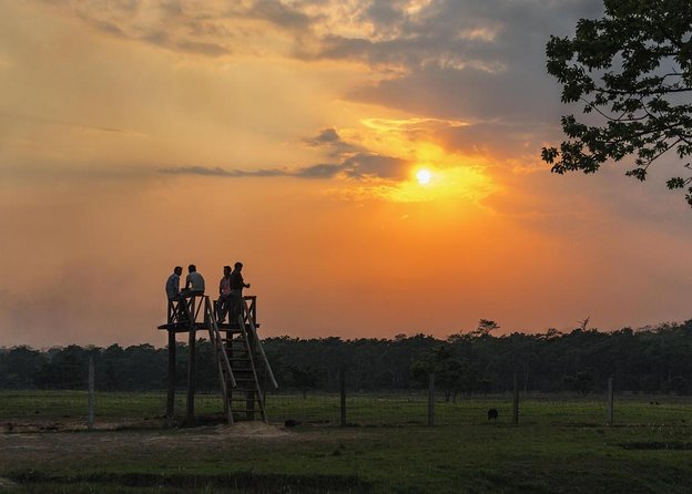 1 Night 2 Days Chitwan Jungle Safari Tour from Pokhara or Kathmandu - Quick Takeaways Before You Go