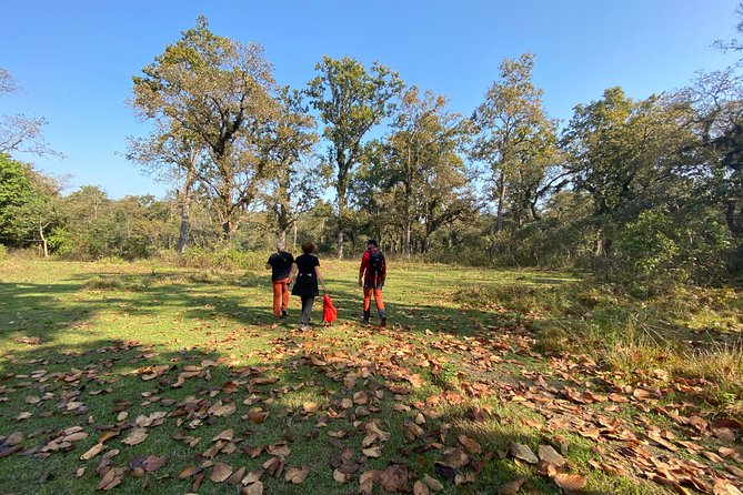 1 Night 2 Days Chitwan Jungle Safari Tour from Pokhara or Kathmandu - A Tight 48 Hours in Chitwan, With Real Safari Time