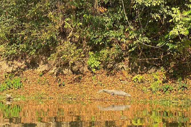1 Night 2 Days Chitwan Jungle Safari Tour from Pokhara or Kathmandu - Day 1 in Chitwan National Park: Jeep Safari and Rapti Sunset