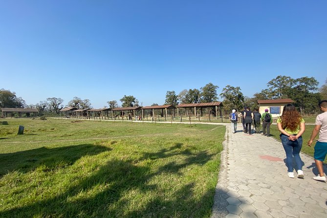 1 Night 2 Days Chitwan Jungle Safari Tour from Pokhara or Kathmandu - Accommodation and Meals: Easy Comfort Between Activities