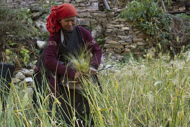 10 Days Manaslu Circuit Trek in Larke La Pass - Who this trek suits best, and who should think twice