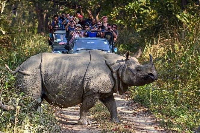 10 days Special Nepal Tour Package - Lumbini, Buddha’s birthplace without rushing