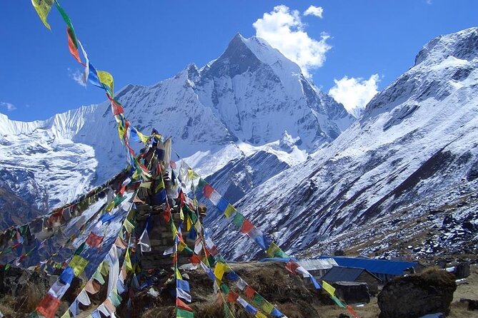 11-Day Hike Tour to Annapurna Base Camp Bliss in Kathmandu - Poon Hill Sunrise and Tadapani: Your View Payoff Day