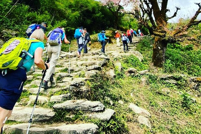 11-Day Hike Tour to Annapurna Base Camp Bliss in Kathmandu - Ghorepani and Ulleri: Suspension Bridge Energy and Long Stair Effort