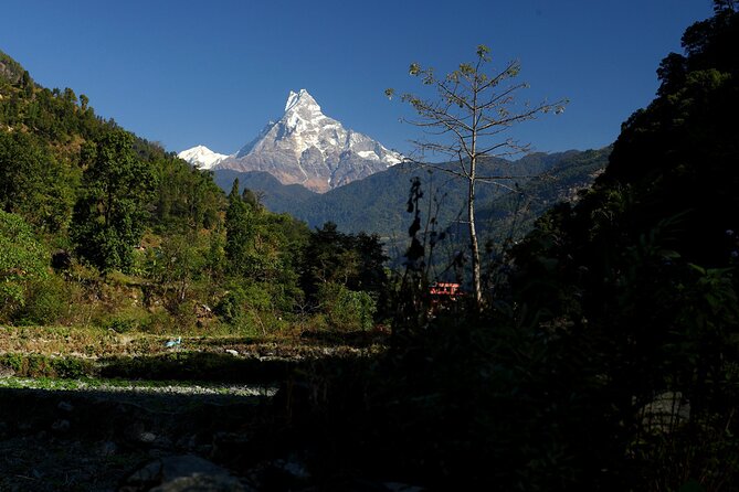 12-Day Nepal Adventure Trek with Jungle Safari - What You Get for Around $950 in Nepal