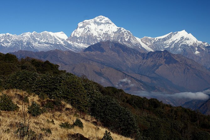12-Day Nepal Adventure Trek with Jungle Safari - Poon Hill and Tadapani: Sunrise Views Over Giant Peaks