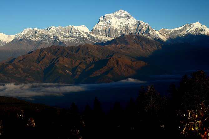 12-Day Nepal Adventure Trek with Jungle Safari - Ghandruk: A Shorter Day Through Rhododendron and Oak