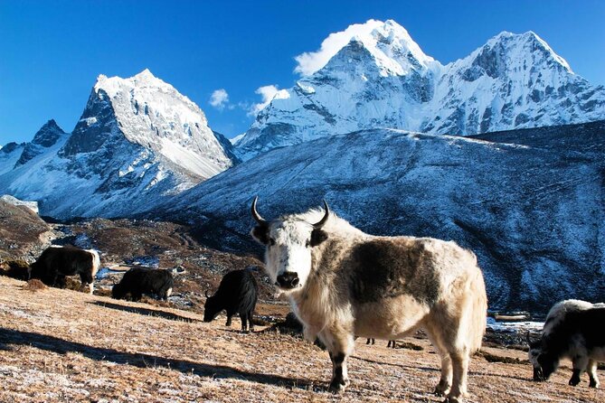 12 Days Everest Base Camp Trek - Key highlights to know before you go