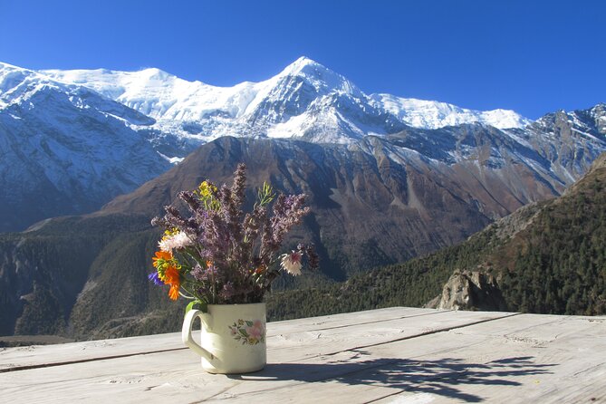 15-Day Private Annapurna Circuit Trek from Kathmandu - Days 9 to 10: the Thorong La build-up, last camp rhythm, and starting early