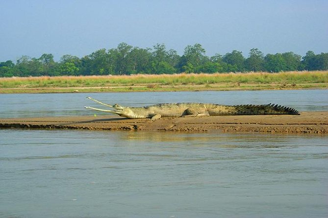 3-Day Chitwan Jungle Safari Tour from Kathmandu - Day 1 in Chitwan Tharu Village: culture you can actually use later