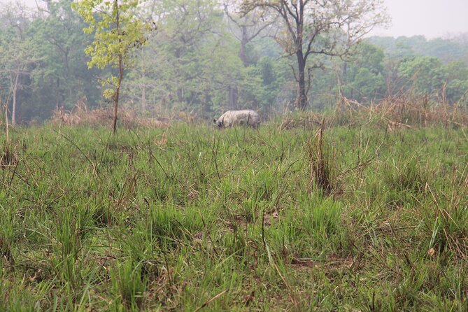 3-Day Chitwan National Park Jungle Safari Tour Package with Pick Up - Day 2 Morning at Dawn: Rapti River Canoe Ride and Bird Spotting