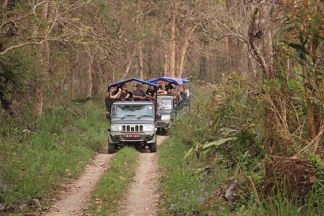 3-Day Chitwan National Park Jungle Safari Tour Package with Pick Up - Day 3: Bird Watching, Final Safari Time, and the Drive Back to Kathmandu