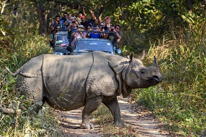 3-Day Chitwan National Park Jungle Safari Tour Package with Pick Up - Who Should Book This Chitwan Package?