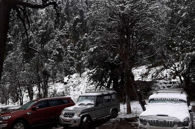 3 Days Kalinchowk Trekking from Kathmandu - Day 2: The Trek to Kalinchowk and Big Himalayan Views