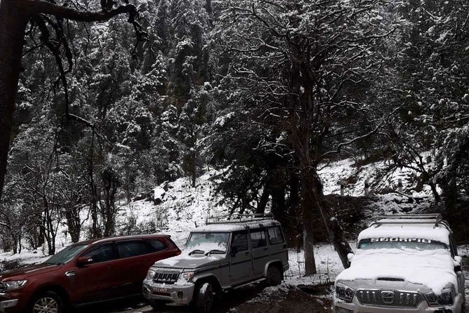 3 Days Kalinchowk Trekking from Kathmandu - Price and Logistics: What $290 Really Buys You