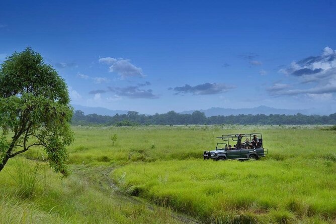 3 Nights 4 Days Chitwan National Park with Tower Night Stay - Chitwan National Park, Plus a Night Up in a Wooden Tower