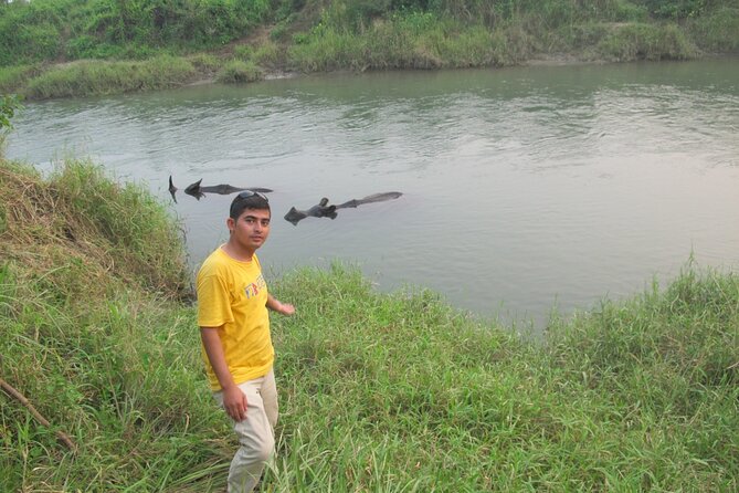 3 Nights 4 Days Chitwan National Park with Tower Night Stay - Day 2: Canoe on the Rapti, Jungle Walk, and the Tower Night Stay