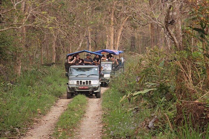 3 Nights 4 Days Chitwan National Park with Tower Night Stay - Day 3: Jeep Safari in Chitwan, Crocodiles, and Pool Time Back at the Resort