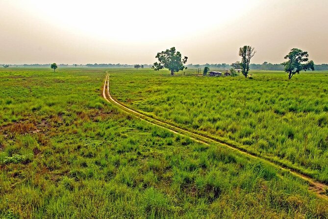3 Nights 4 Days Chitwan National Park with Tower Night Stay - Price and Logistics: Is $424 Good Value for Chitwan?