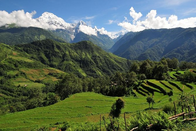 4-day Poon Hill Trek - Small group size, meeting time, and how it affects your day