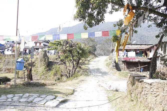7 Days Langtang Valley Trek from Kathmandu - Day 5: Sunrise at Kyanji Viewpoint, then an easier downhill walk