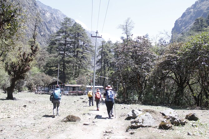 7 Days Langtang Valley Trek from Kathmandu - Day 7: Drive back to Kathmandu and a low-key finish in Thamel