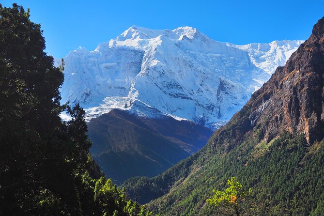 8 Days Private Guided Trekking in Annapurna Circuit with Pickup - Day 6: Yak Kharka to Thorong High Camp (4,450m)