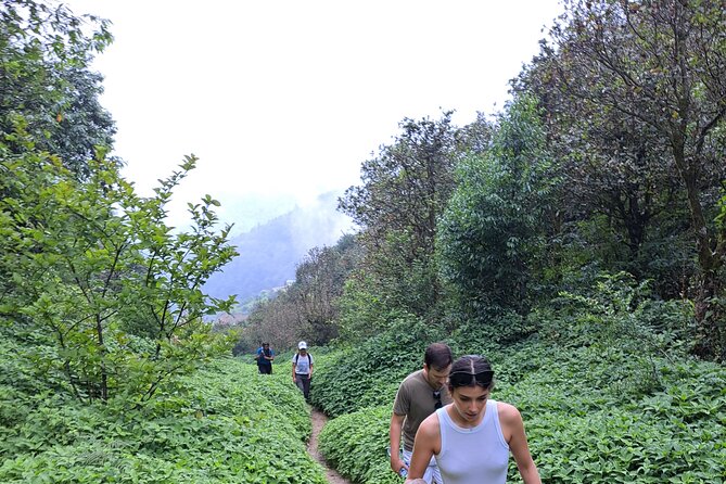 Amazing 1 Day Trekking Experience in Kathmandu Nepal - Taudaha Lake Finish: Oldest Lake, Memorial Meaning