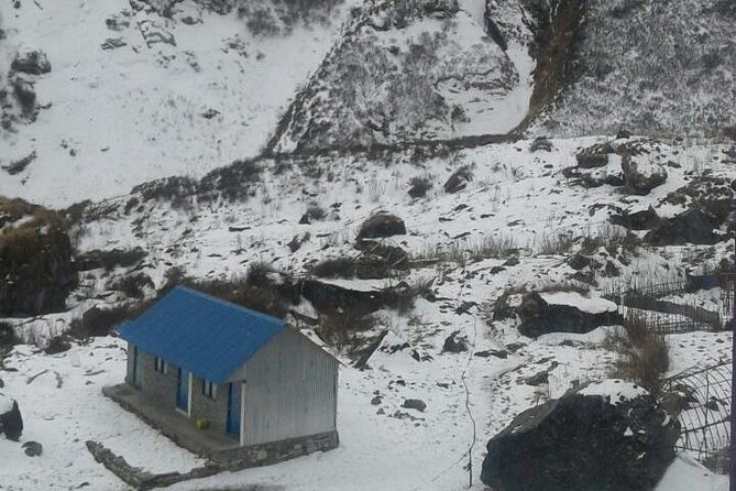 Annapurna base camp -9 days - Day 4: Chhomrong Bridge to Sinuwa Danda, Rhododendron Forest, and Seti Gandaki