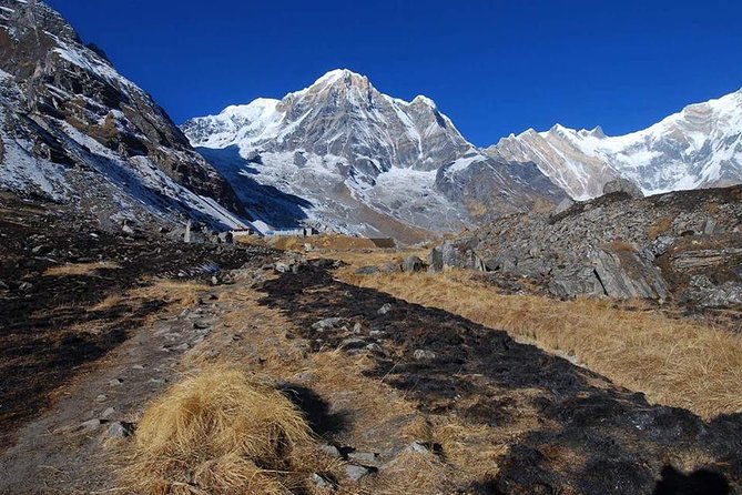 Annapurna Base Camp, Nepal 10 days - Day 5: Bamboo forest to Deurali at 3230m, cool and steady climbs