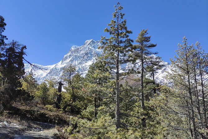 Annapurna Base Camp Trek - 10 Days - Key highlights to watch for