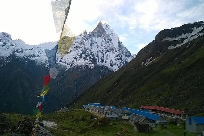 Annapurna Base Camp Trek - 11 Days - Price and Logistics: What $986 Covers (and What It Doesn’t)