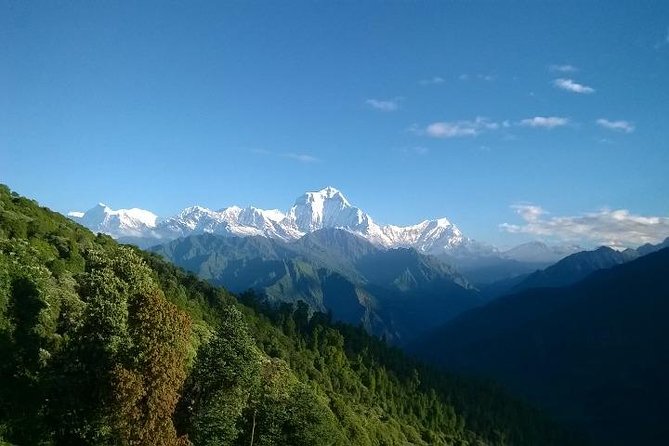 Annapurna Base Camp Trek - 11 Days - Day 2: Nayapul Start, Modi River Bridge, and the First Village Steps