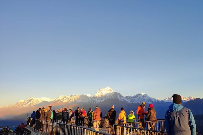 Annapurna Base Camp Trek 12 Days - Deurali: where altitude becomes real, and pacing becomes survival