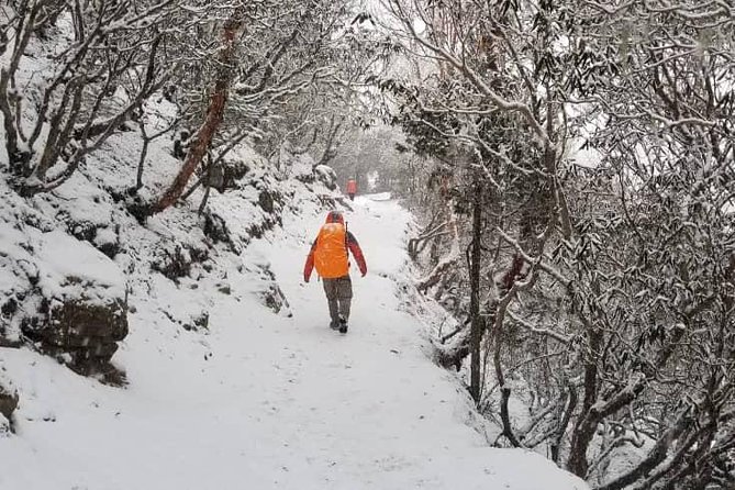 Annapurna base camp trek 5 Days - Descent Through Chomrong and Jhinu Hot Spring, Then Back to Pokhara