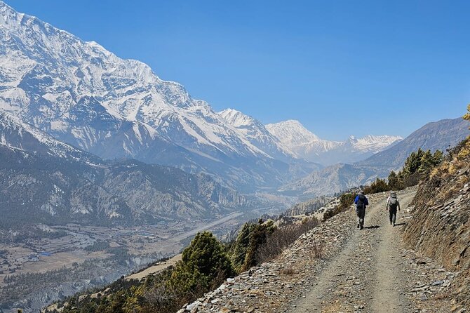 Annapurna Circuit Trek with Tilicho Lake (16 Days) - Yak Kharka to Thorong Phedi: staging for a pre-dawn Thorong La pass