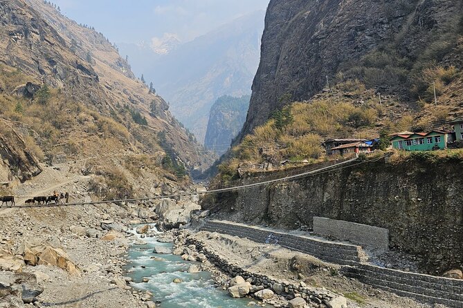 Annapurna Circuit Trek with Tilicho Lake (16 Days) - Thorong La to Muktinath, Kagbeni, Jomsom, then Pokhara: the descent that feels like a new trip