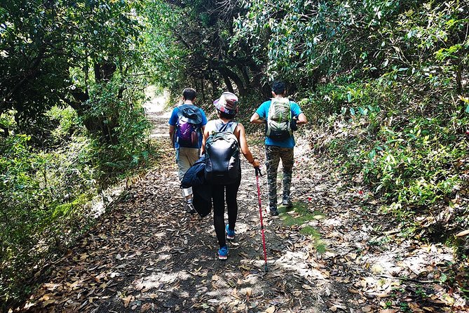 Chisapani - Nagarkot Trek Nepal - 3 Days - Views, Weather, and Timing: How to Think About the Clear-Day Promise