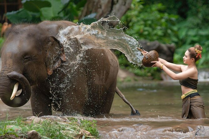 Chitwan National Park Tour - Day 2 is the main safari day, with canoeing and a jeep ride