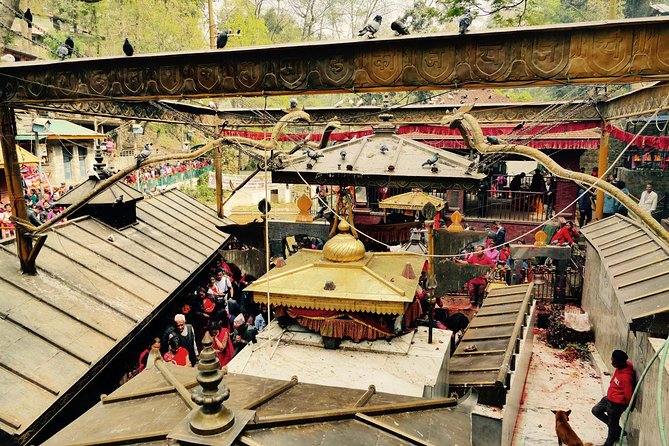 Escorted Full Day Pharping, Dakshinkali and Kirtipur Day Trip with Newari Lunch - Stop 2 at Dakshinkali Temple: the Kali pilgrimage setting and why it can be intense
