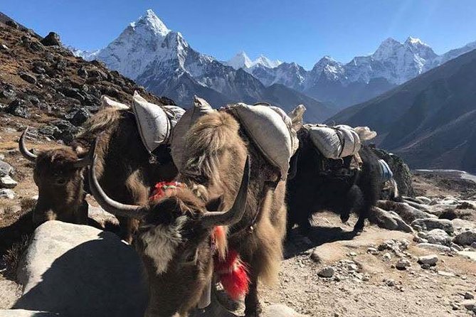 Everest Base Camp Trek 12 Days – Best Himalayan Adventure - Tengboche: A Shrine Stop With Big Mountain Atmosphere