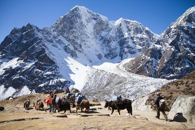 Everest Base Camp Trek with Helicopter Return to Lukla - 10 Days - Key Things That Make This Everest Trip Worth Your Time