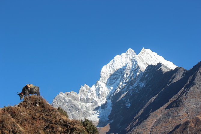 Everest Three Pass Trek - Kongma La (5,535m): highest pass effort and steep trail discipline