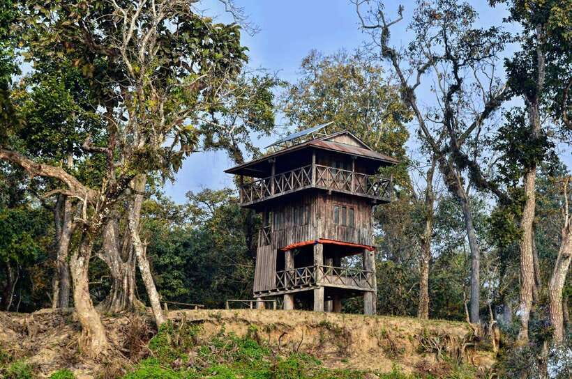 From Kathmandu/Pokhara: 2, 3, or 4-Day Chitwan Jungle Safari - Key highlights I’d plan around