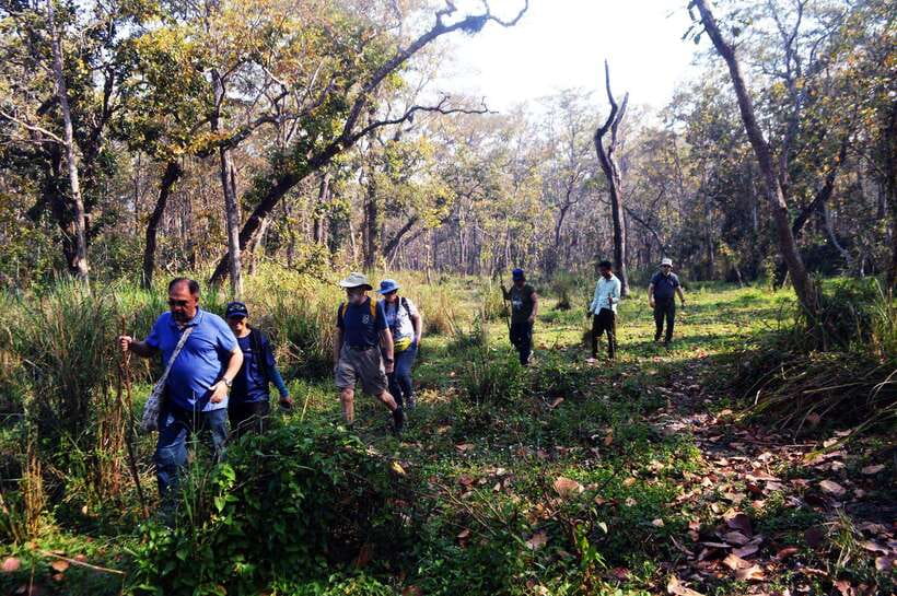 From Kathmandu/Pokhara: 2, 3, or 4-Day Chitwan Jungle Safari - What makes Chitwan feel different, besides the wildlife list