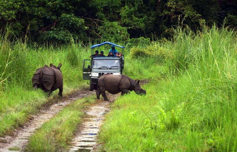From Kathmandu/Pokhara: 2, 3, or 4-Day Chitwan Jungle Safari - Tharu sunset culture: why this stop feels more grounded