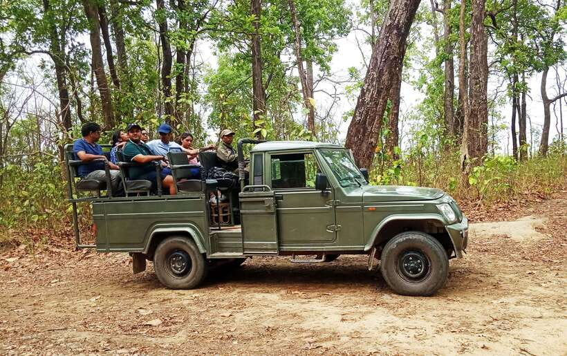 From Kathmandu/Pokhara: 2, 3, or 4-Day Chitwan Jungle Safari - Elephant and gharial conservation centers: practical learning, not just a detour